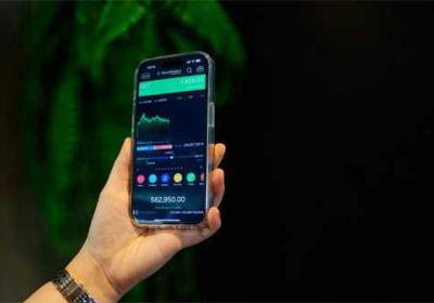 2025年哪种基金可能带来最高收益